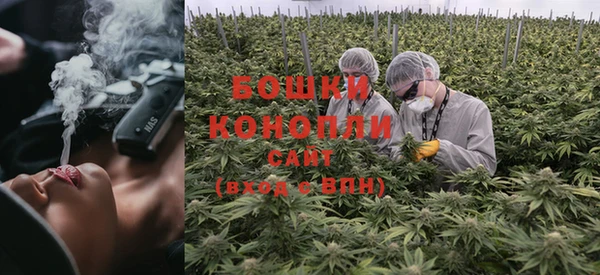 круглые Ельня
