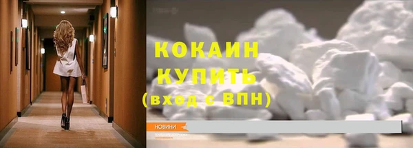 крисы Щигры