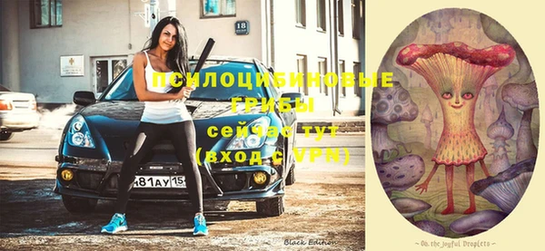 кристаллы Елизово